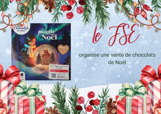 Red Green Aesthetic Merry Christmas Double-Sided Poster(2).png