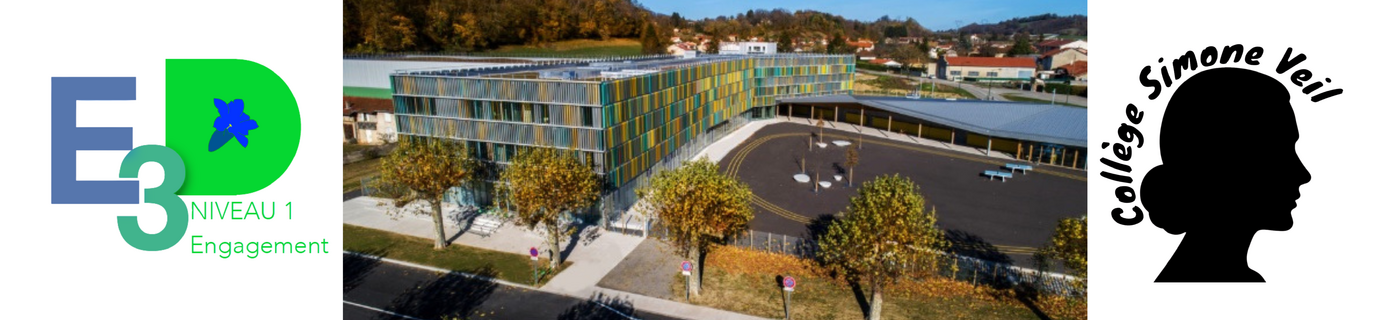 Collège (6).png
